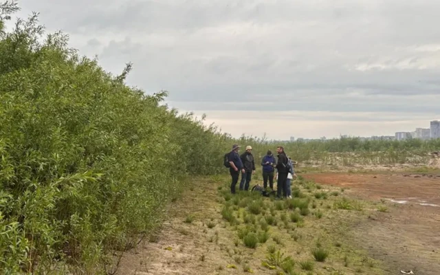 Ученые стоят там, где растительности нет, но рядом стена густых зарослей ивы. Вдалеке видны многоэтажки.