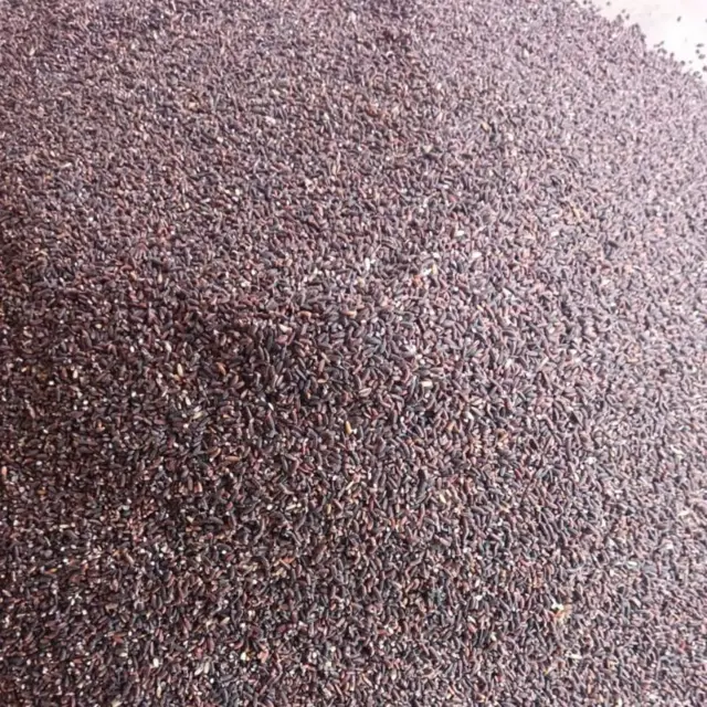 సేంద్రీయ పంట