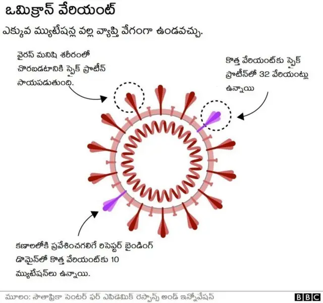 స్పైక్ ప్రోటీన్ లో మార్పులు జరిగితే ఒమిక్రాన్ ప్రమాదకరంగా మారుతుంది.