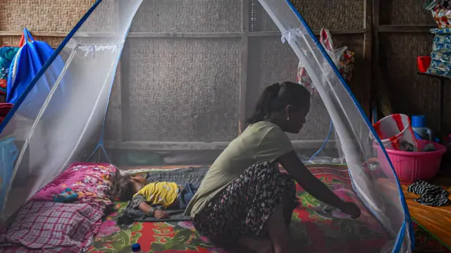 మలేరియా