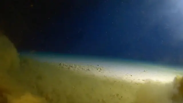 Fondo de la fosa de las Marianas