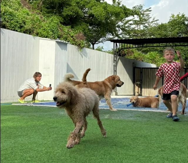 Taman bermain anjing Dogville