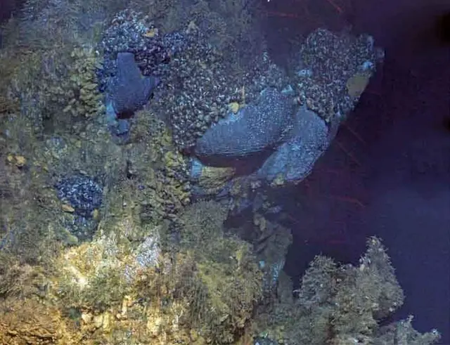 समुद्र में खनन, गहरे समुद्र में खनन का पर्यावरण पर असर, पर्यावरण