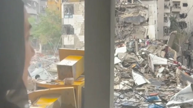 Mu gisagara ca Beirut basanze ibice bimwe ari ibihomoka.