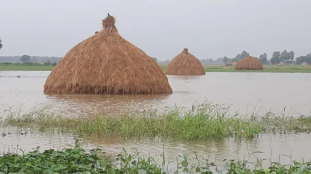 వరికుప్పలు 