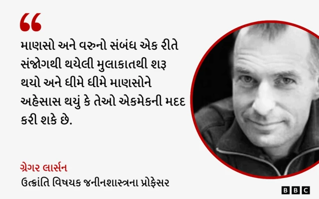 બીબીસી ગુજરાતી, ગુજરાત, બીબીસી, કૂતરાં, પ્રાણીઓ, ઇતિહાસ