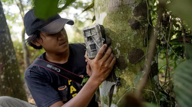 புலி, சிங்கம், நரேந்திர மோதி