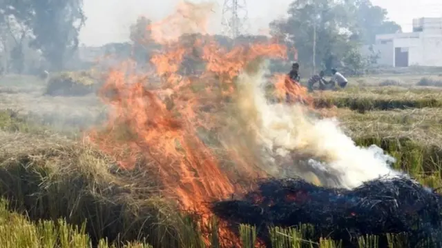 ফসলের মাঠে খড় এবং নাড়া পোড়ানোকেও এই বায়ু দূষণের জন্য দায়ী করা হচ্ছে।