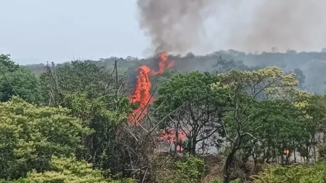 நீலகிரி காட்டுத்தீ: பல ஆயிரம் ஏக்கர் வரையிலான காடுகள் சேதம் - காரணம் யார்? பரவும் காட்டுத் தீயை தடுக்க தீத்தடுப்பு கோடுகள் அமைக்கப்படும். ஆனால் பெரிய அளவில் தீ பரவும் போது இவற்றால் பலன் கிடைப்பதில்லை