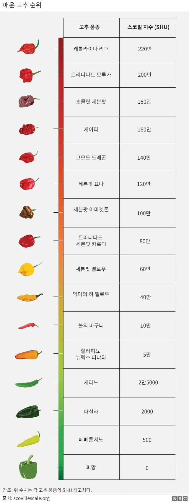 매운 고추 순위표