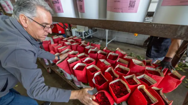 Las flores colombianas son muy populares en Estados Unidos cada día de San Valentín.