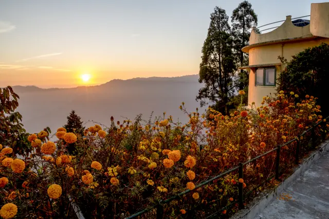 Marigold Glow by Cathy Cooper