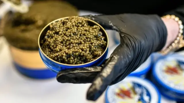 फ्रांस में एक कंपनी में कैवियार पैक किया जा रहा है