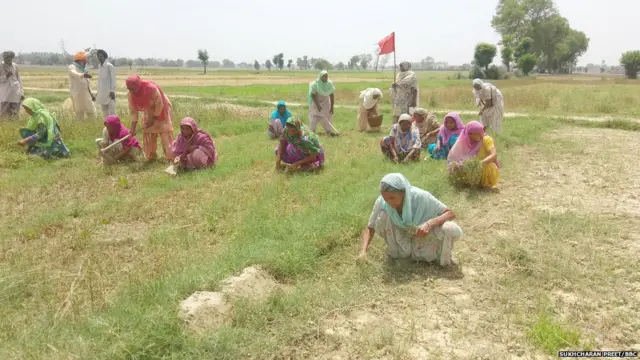 ਜ਼ਮੀਨ ਲਈ ਸੰਘਰਸ਼ ਕਰਦੀਆਂ ਔਰਤਾਂ