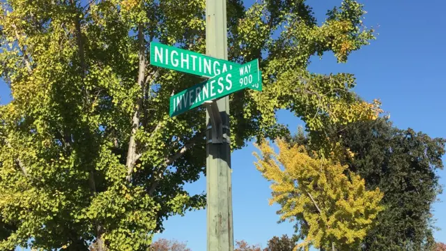 Barrio de los pájaros, cerca de la sede de Apple en Cupertino, California (Foto: Beatriz Díez)