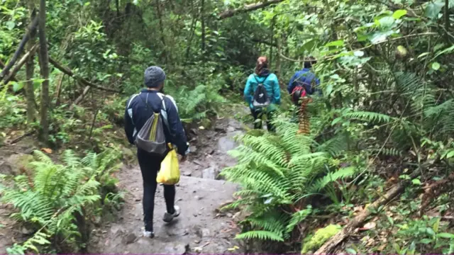 Caminantes en la Quebrada de La Vieja.