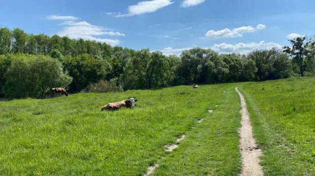 На шляху Camino Podolico648