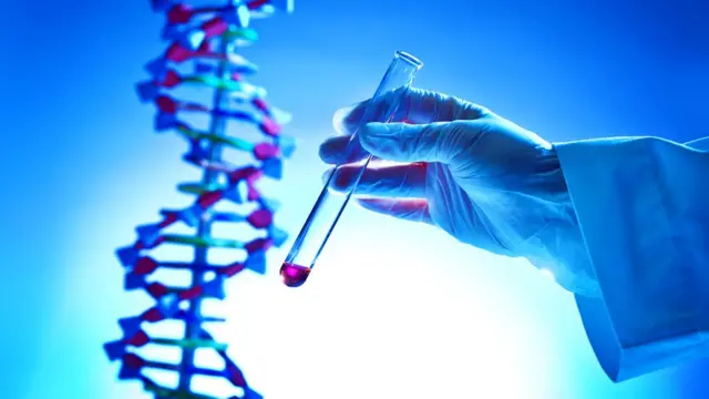 Tratamiento in vitro