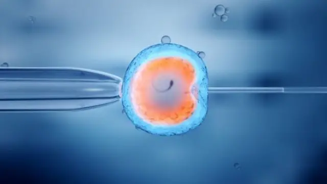 शुक्राणु