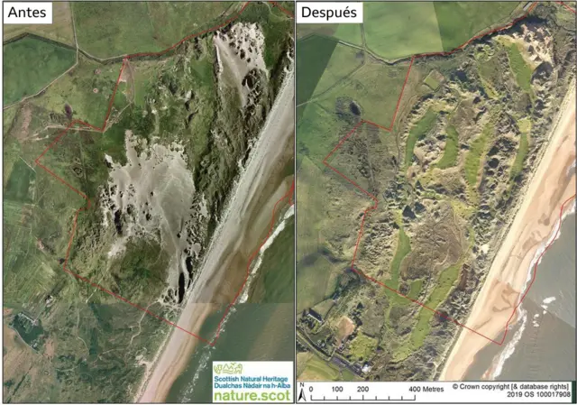 Las dunas antes y después
