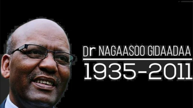 Ideal jinsiy aloqa korish