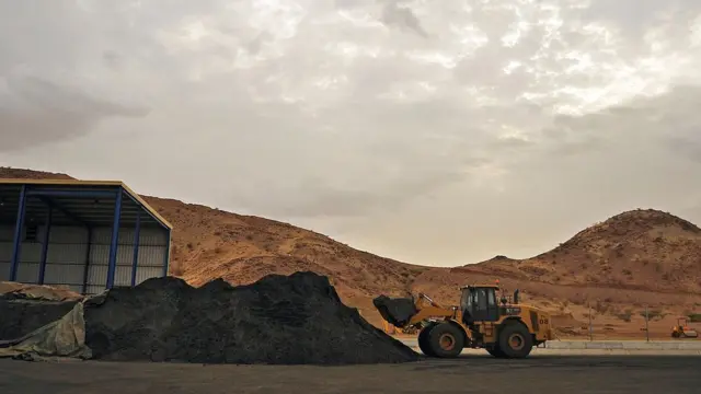 ኣብ ቢሻ ዝርከብ ዕደና ንሓስ፡17 ሓምለ 2013