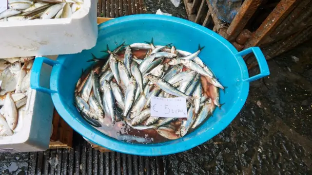 Sardinas