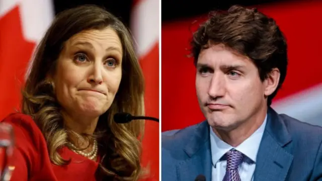 ਫ੍ਰੀਲੈਂਡ 