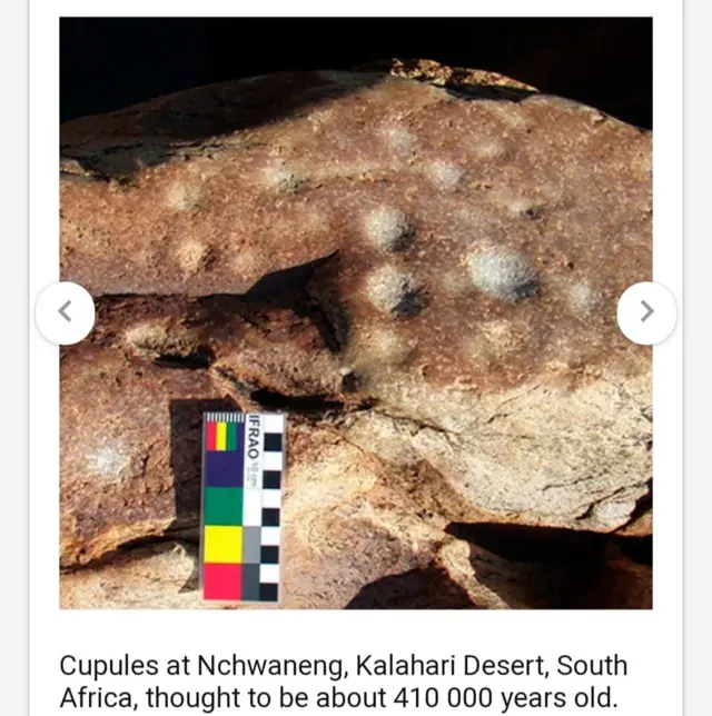 பழனியில் 4 லட்சம் ஆண்டுகள் பழமையான கல்லாங்குழிகள் 