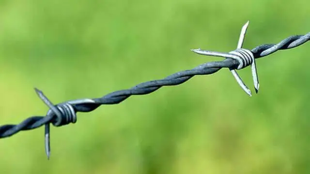 বাংলাদেশ সীমান্তে বেড়া বসাতে যে ধরনের কাঁটাতার ব্যবহার করে ভারত। প্রতীকী ছবি