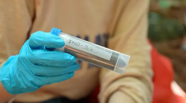 Hutan Sulawesi Selatan