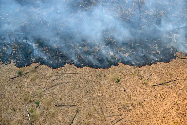 Foto udara area hutan hujan Amazon yang mengalami deforestasi akibat kebakaran ilegal di wilayah Labrea, Negara Bagian Amazonas, Brasil, diambil pada 20 Agustus 2024.