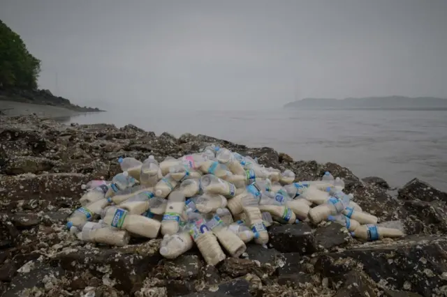 ਚੌਲਾਂ ਦੀਆਂ ਬੋਤਲਾਂ