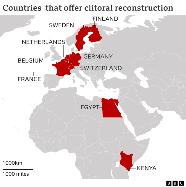 Locator map of countries offering surgery in Africa and Europe