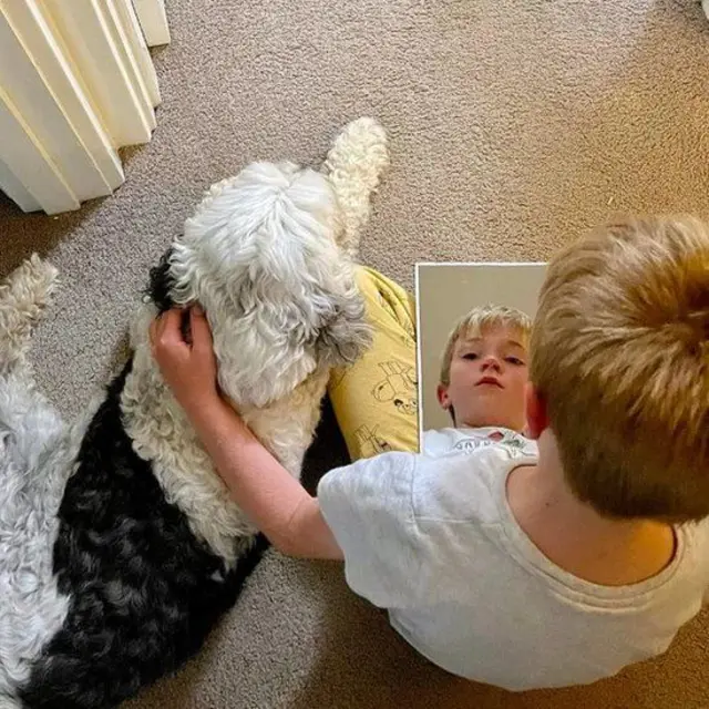 જોશ ફર્થ