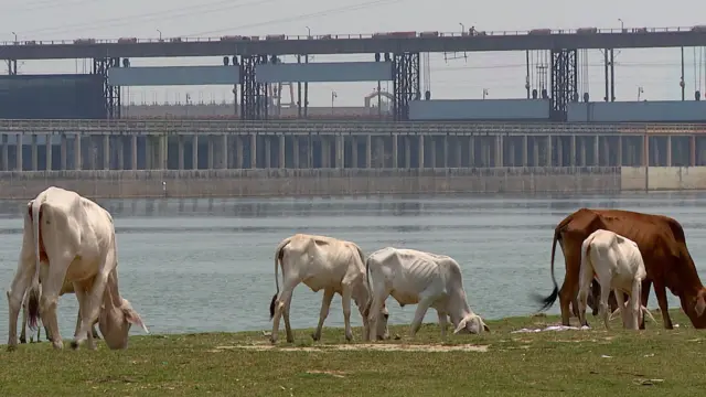 ভারত-বাংলাদেশের মধ্যে গঙ্গা জলবণ্টন চুক্তি ২০২৬ সালে নবায়ন হওয়ার কথা
