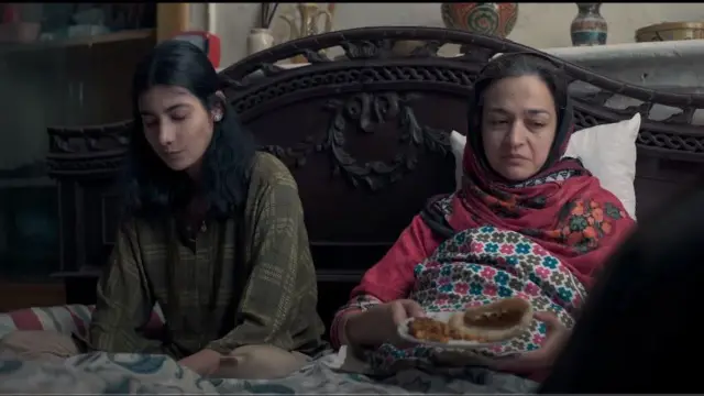 زندگی تماشا