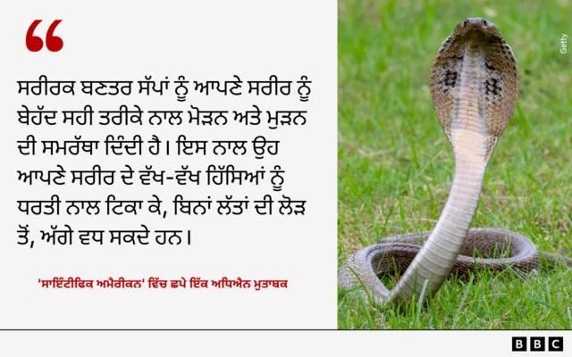 ਸੱਪ 