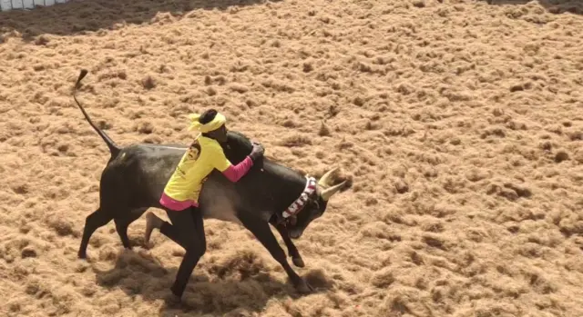 ஜல்லிக்கட்டுக்கும் மஞ்சுவிரட்டுக்கும் என்ன வித்தியாசம்?