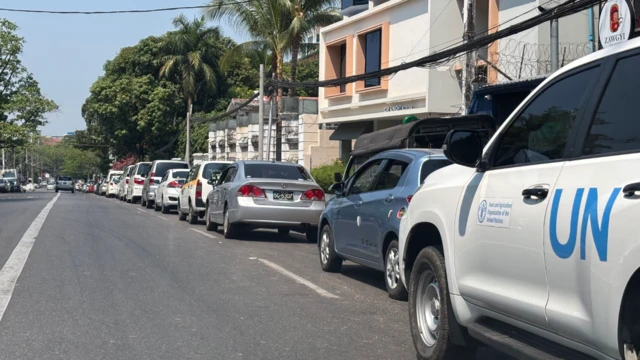 A queue of cars along the side of a road, lined with palm trees, on a sunny day.