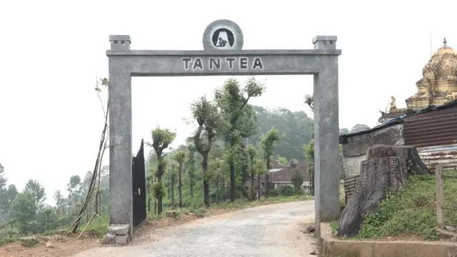 டான்டீ நிறுவனம் 