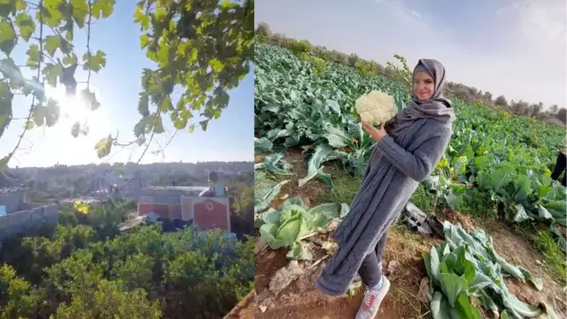 Kebun sayurr dan buah di Beit Hanoun, Gaza.
