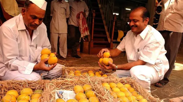 जापानी बाज़ार में अल्फ़ांसो को लग्ज़री फल की तरह देखा जाता था