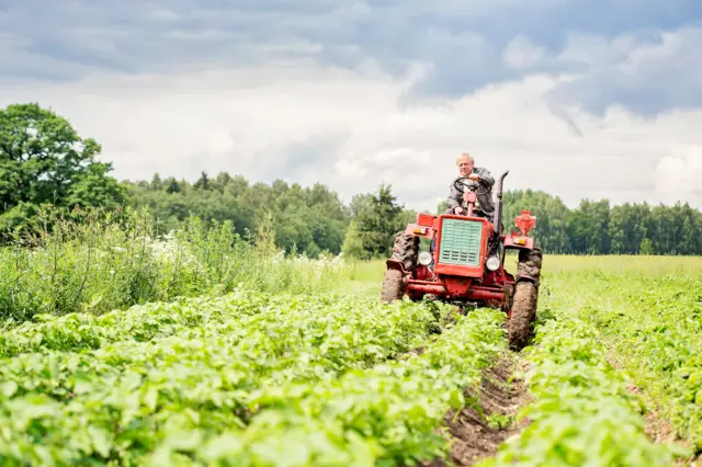 Новоизабрани председник Карол Навроцки сматра да је одлука Брисела да Украјини одобри привремени приступ тржишту ЕУ наштетила малим пољопривредним газдинствима у Пољској