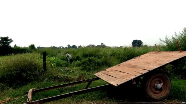 Punjab farmer Suicide
