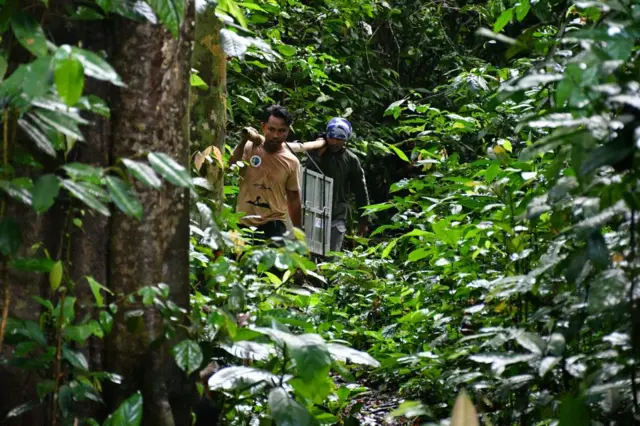 Taman nasional
