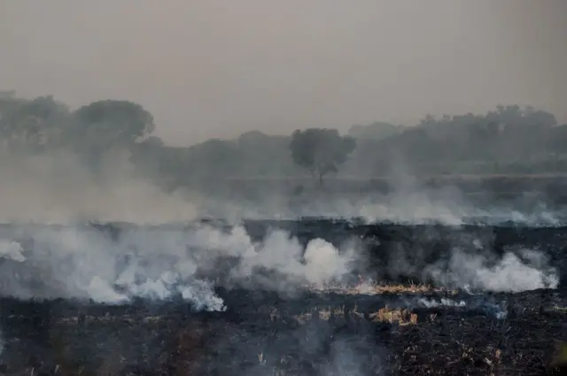 পাঞ্জাবের কৃষিক্ষেতে পরালি জ্বালানোর পর ধোঁয়ার কুন্ডলী। ২০১৫ সালে তোলা ছবি