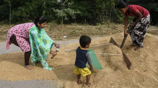 పంట రుణాలు 