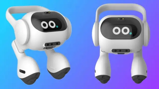 روبات همراه