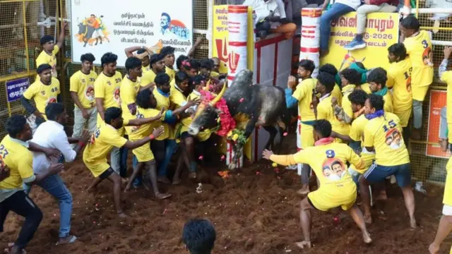 ஜல்லிக்கட்டு: பெண்கள் மாடுபிடி வீரர்களாக பங்கேற்காதது ஏன்? எது தடுக்கிறது?